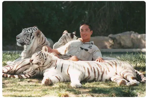 A man posing with a group of white tigers, showcasing his music production skills.